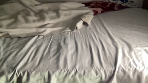 bestdick1991  28-05-2022